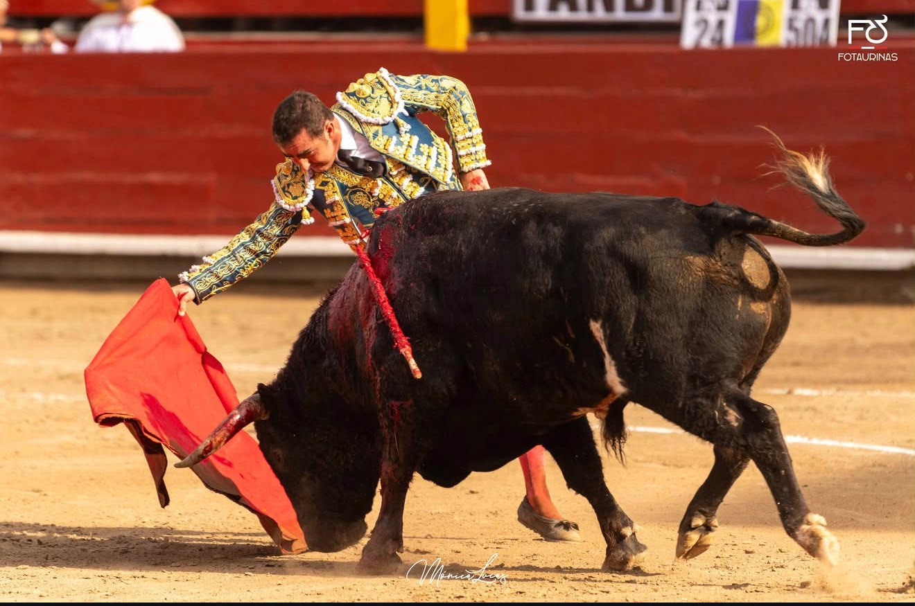 Faena de muleta roja al toro negro con el torero de azul y oro en Acho
