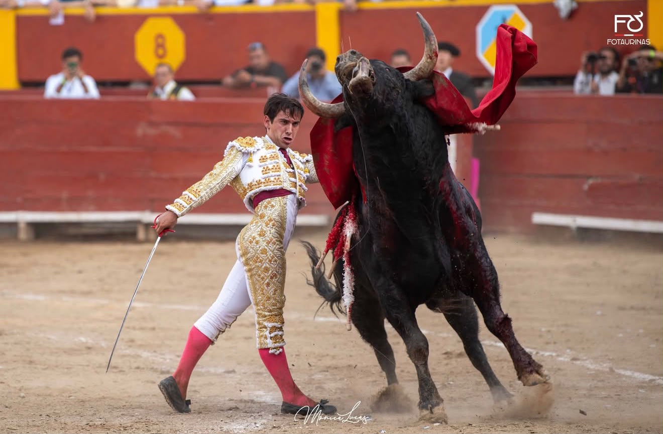 Pase de muleta al toro negro que se incorpora en la segunda tarde de Acho