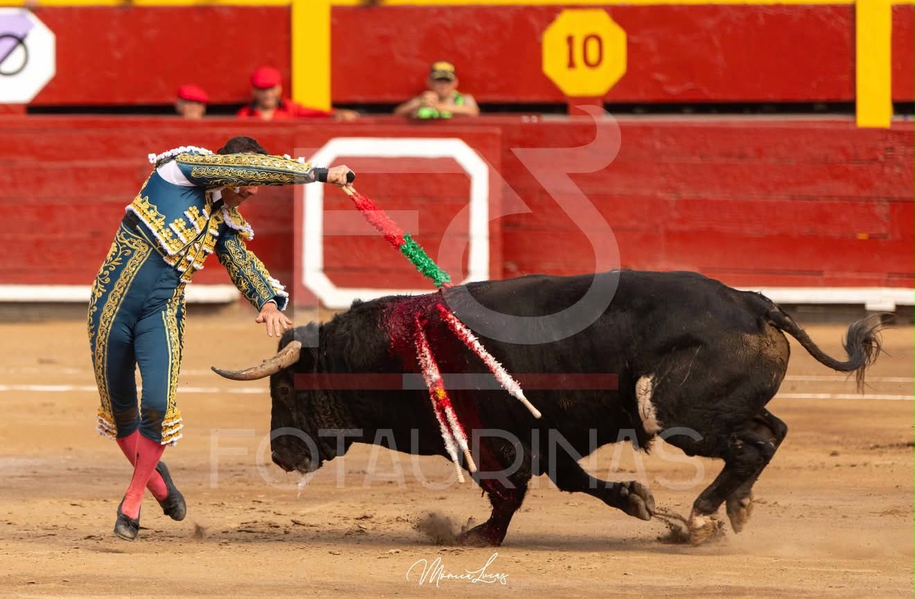 Torero de azul y oro coloca un par de banderillas al toro negro en Acho