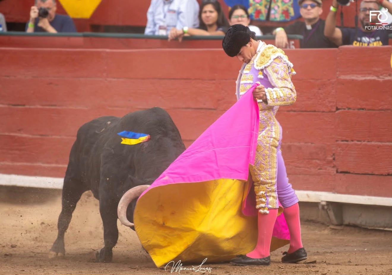 Torero de lila y oro da una verónica al toro negro en la segunda tarde de Acho