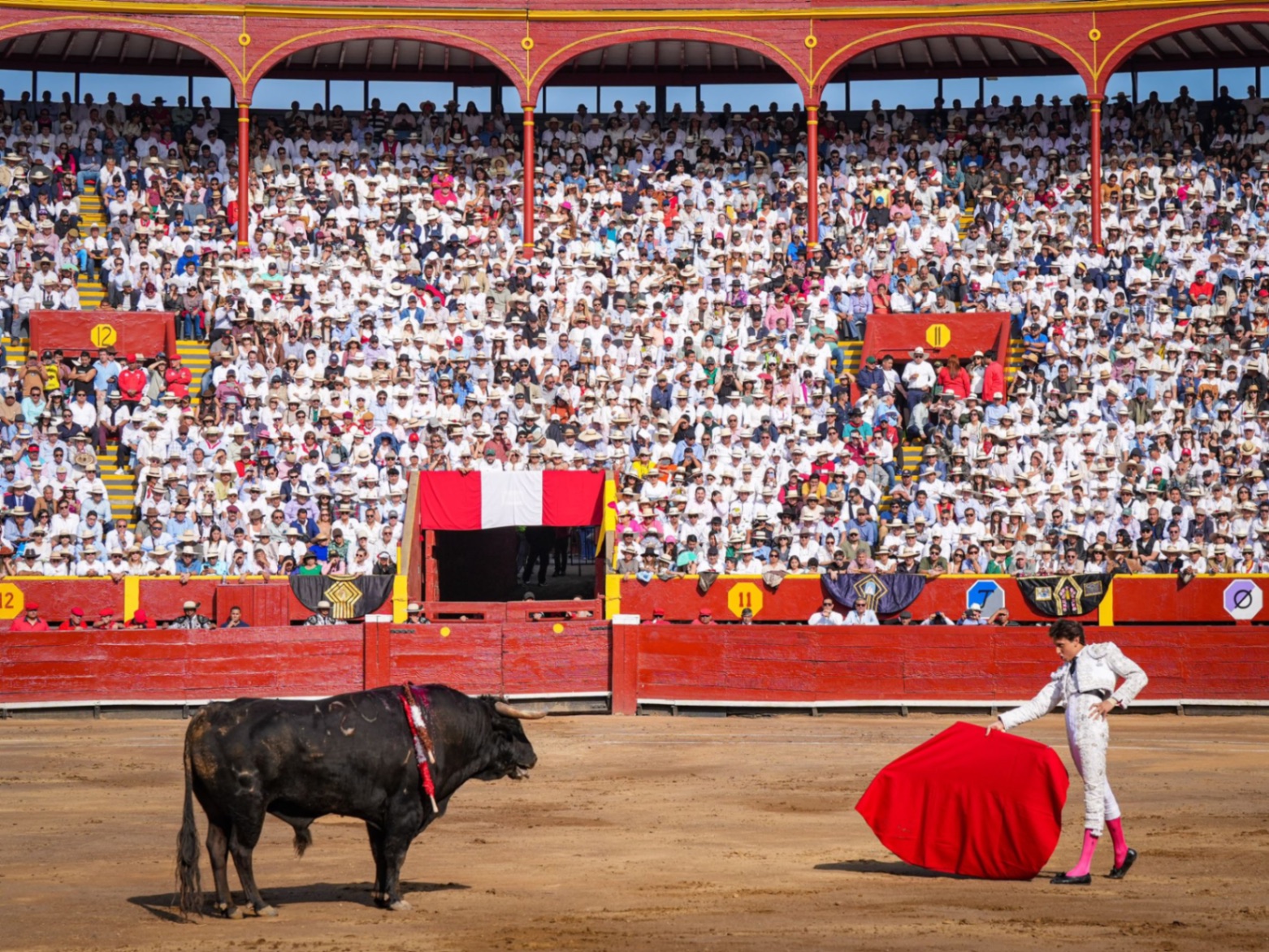 Faena en el ruedo de Acho ante los tendidos