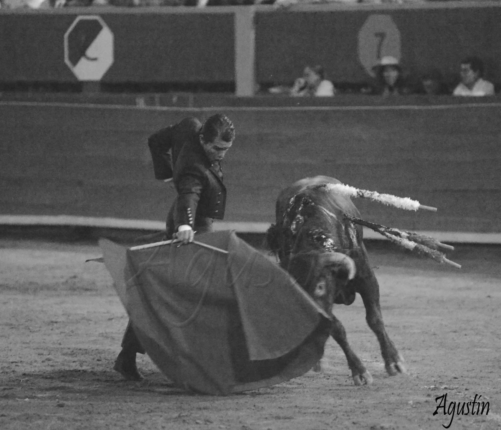 Pase templado en blanco y negro con las banderillas puestas