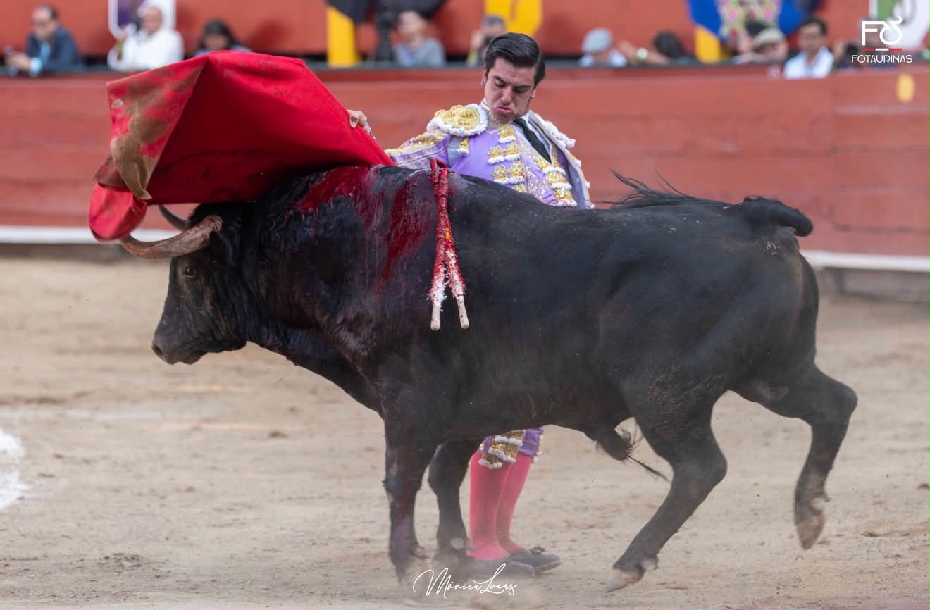 Pase de pecho con la muleta roja por encima de la cabeza del toro negro en Acho