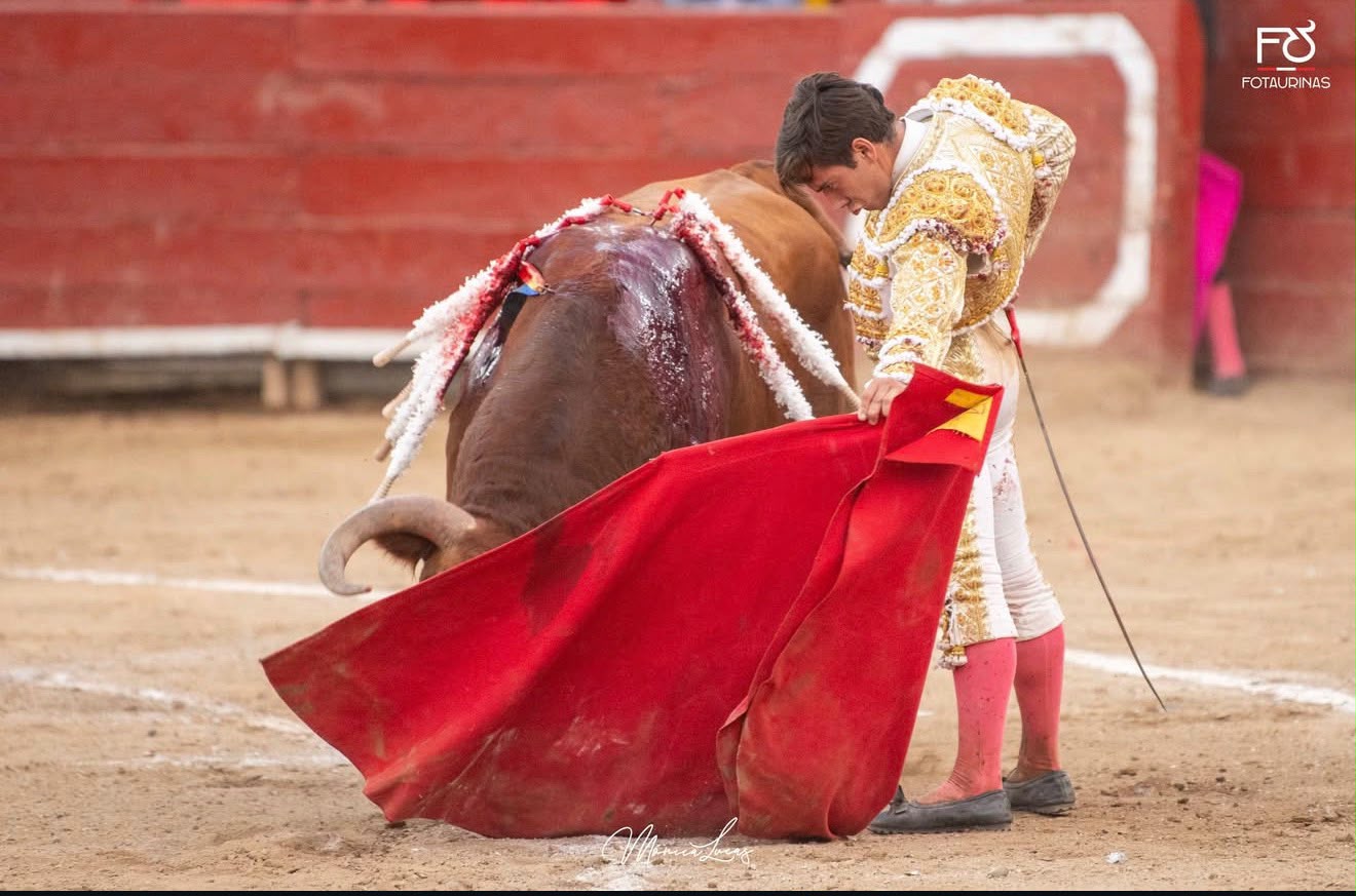 Torero de blanco y oro pasa la muleta roja bajo el hocico del toro colorado en Acho