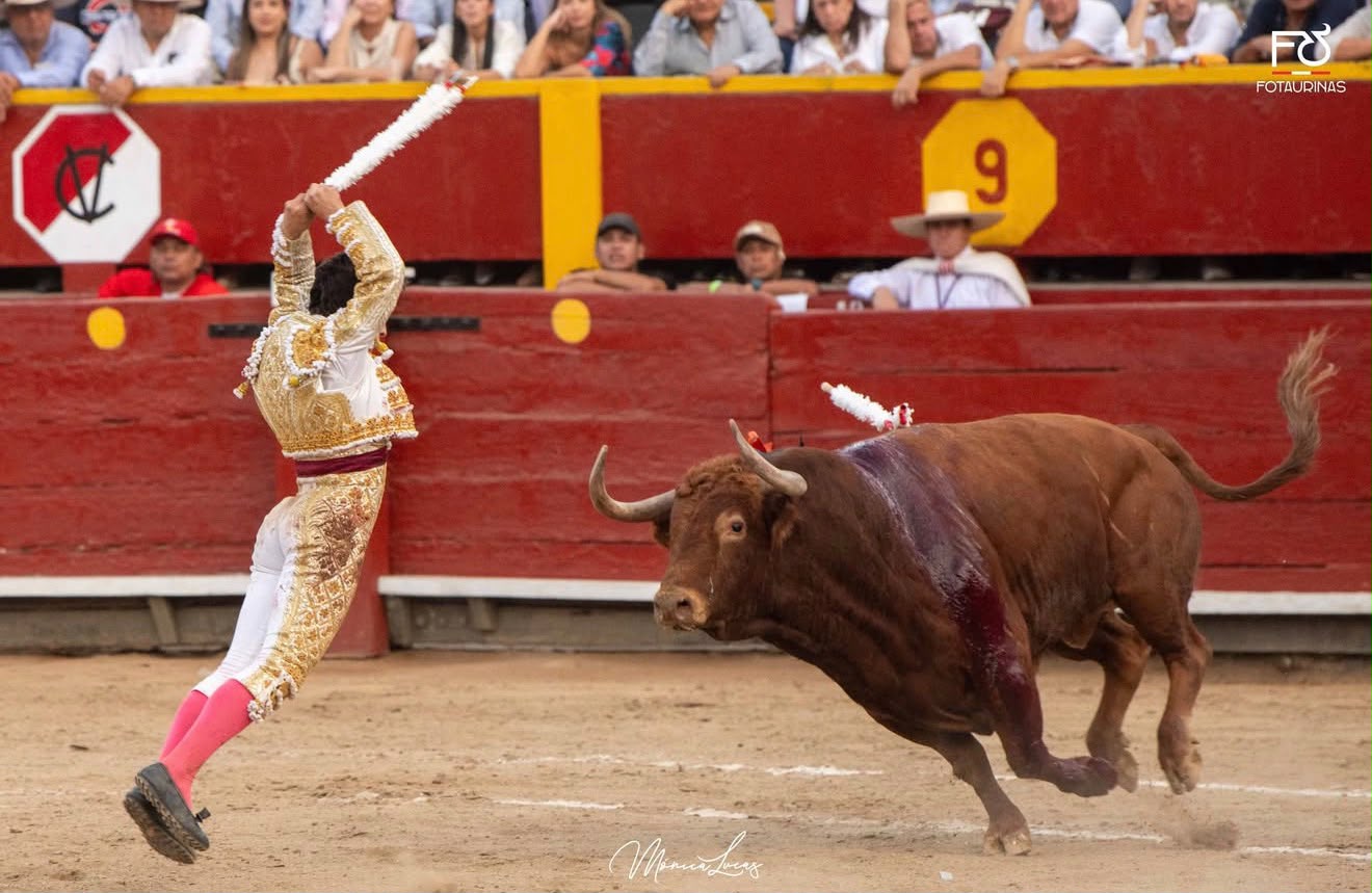 Banderillero salta con las banderillas en alto ante el toro colorado en Acho