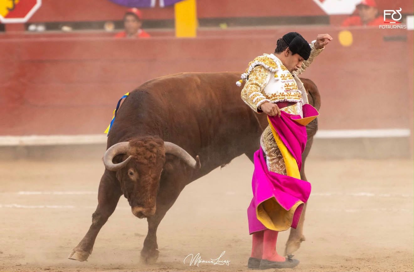 Verónica con el capote fucsia y amarillo al toro colorado en Acho