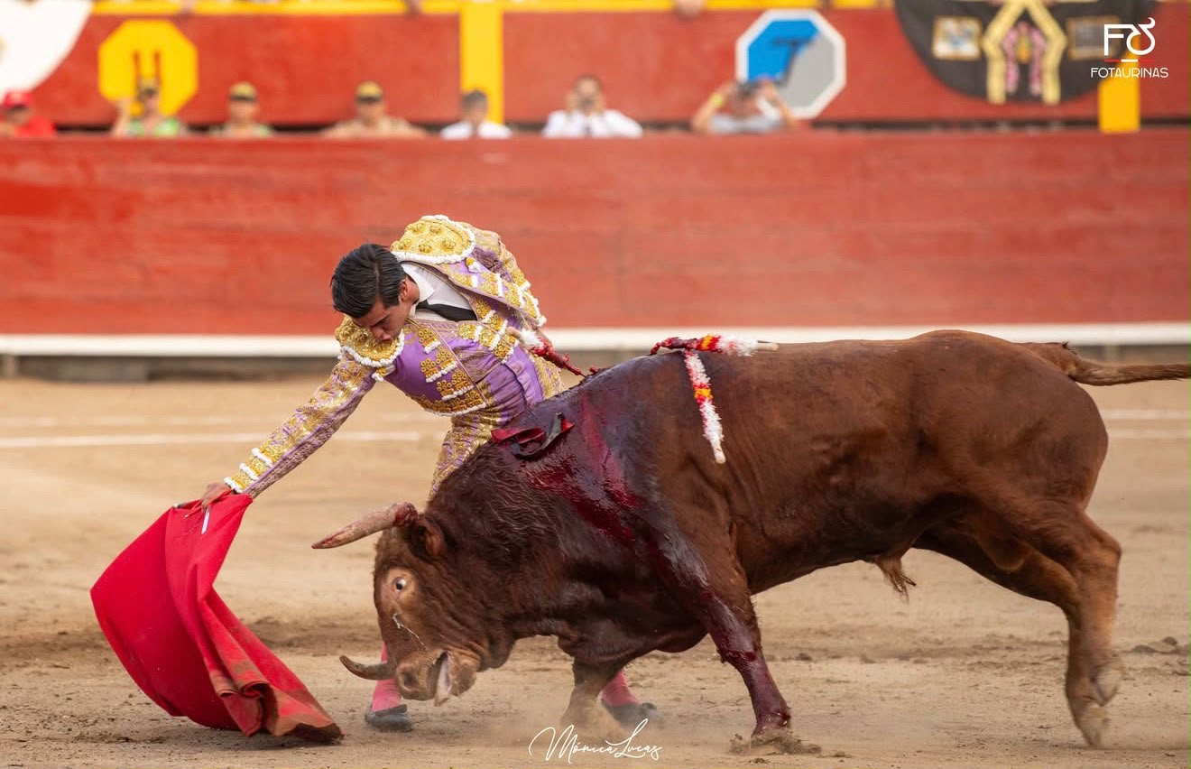 Torero de lila y oro realiza un pase de muleta al toro colorado en la segunda tarde de Acho