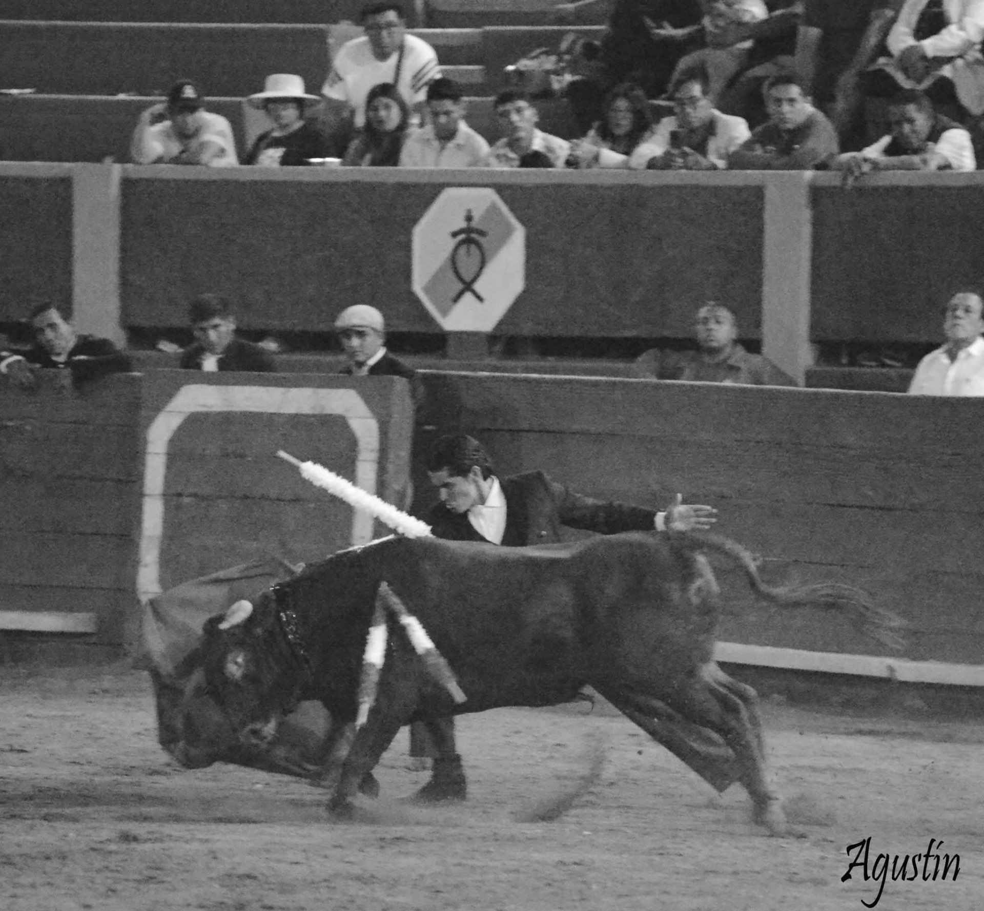 Banderilla en blanco y negro en el Festival de Gala