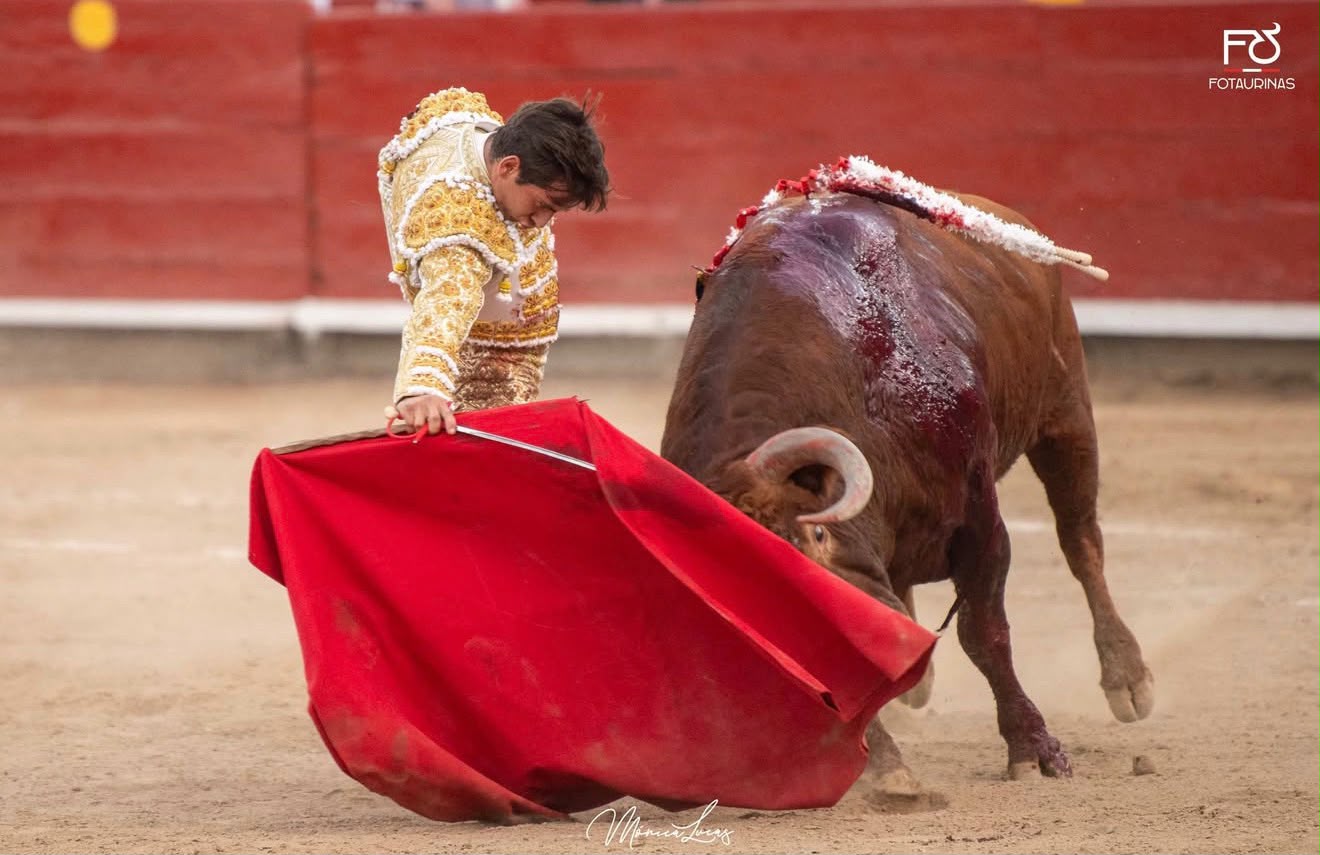 Torero de blanco y oro da un pase de muleta roja al toro colorado en Acho