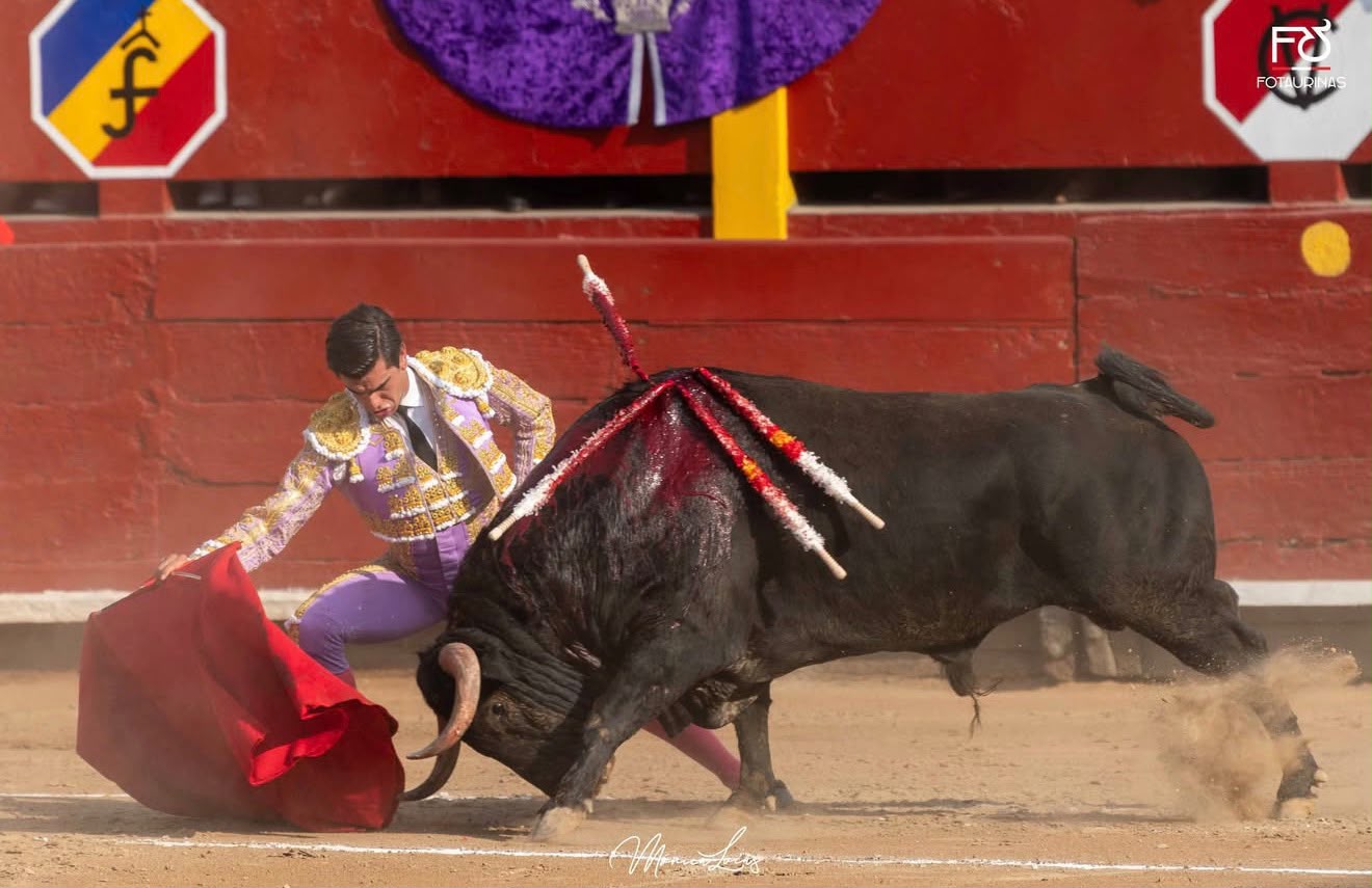 Pase de muleta muy bajo al toro negro que levanta arena en Acho