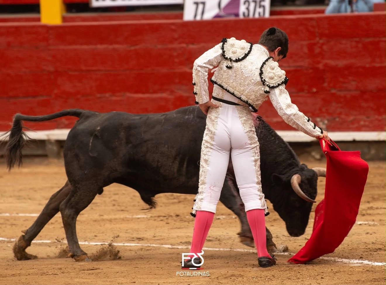 Novillero de blanco y oro con la muleta al novillo negro