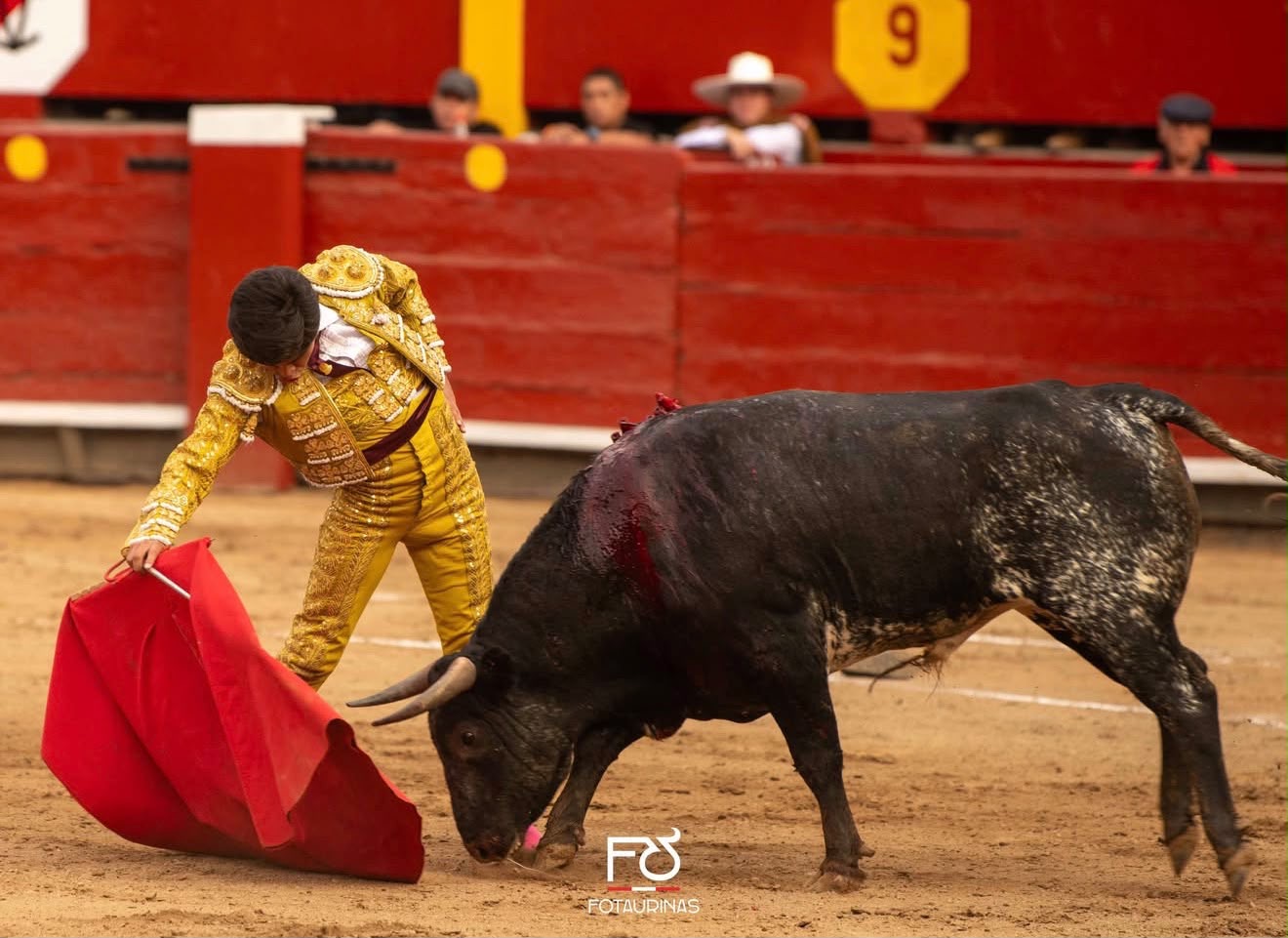 Muleta al novillo negro con el traje dorado en Acho