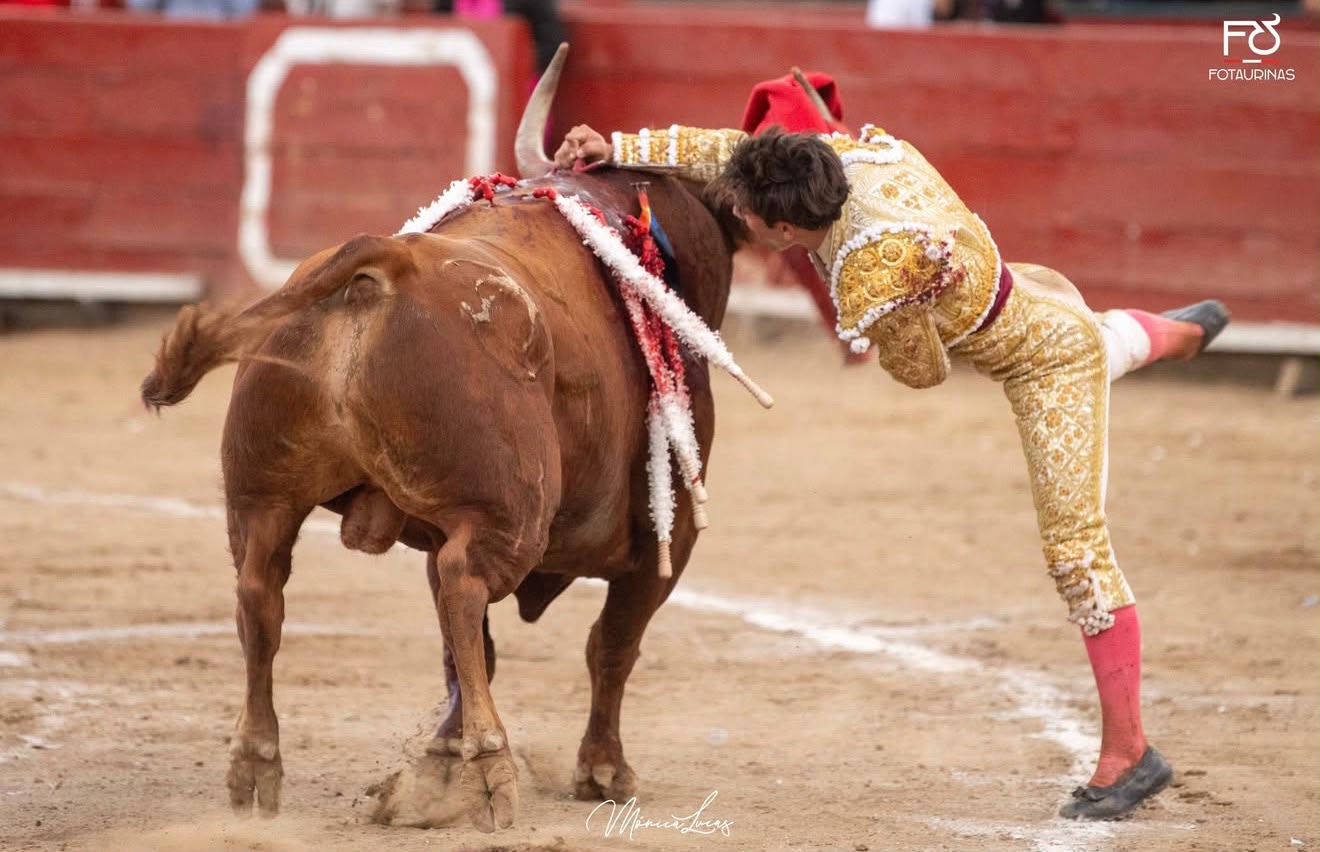 Torero de blanco y oro vuela por los aires sobre el lomo del toro en Acho