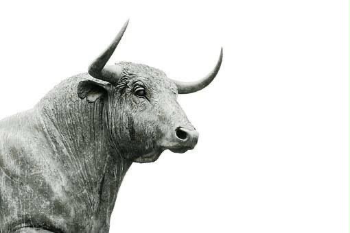 Los toros
