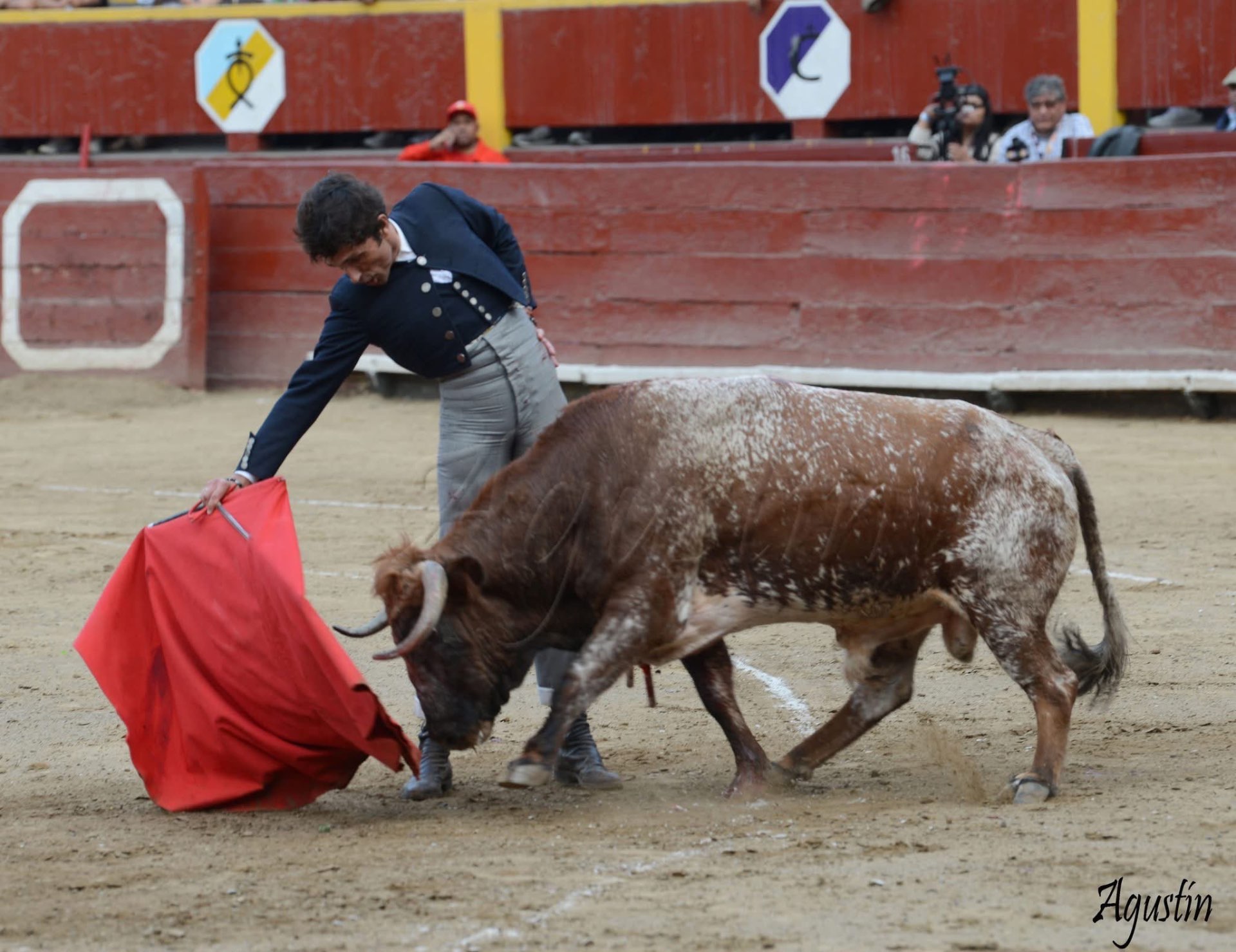Pase bajo templado a un toro colorado