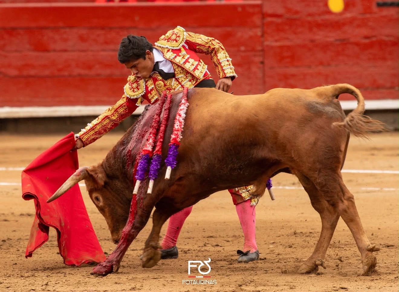 Muleta al novillo colorado pegado a las tablas de Acho