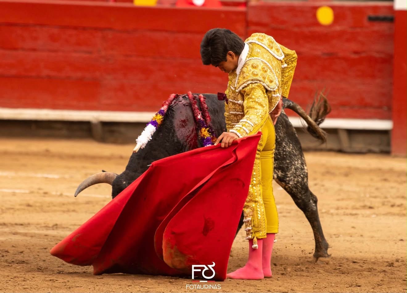 Faena con la muleta en la primera novillada de la temporada en Acho