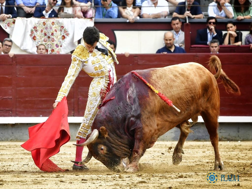 Tomás Rufo