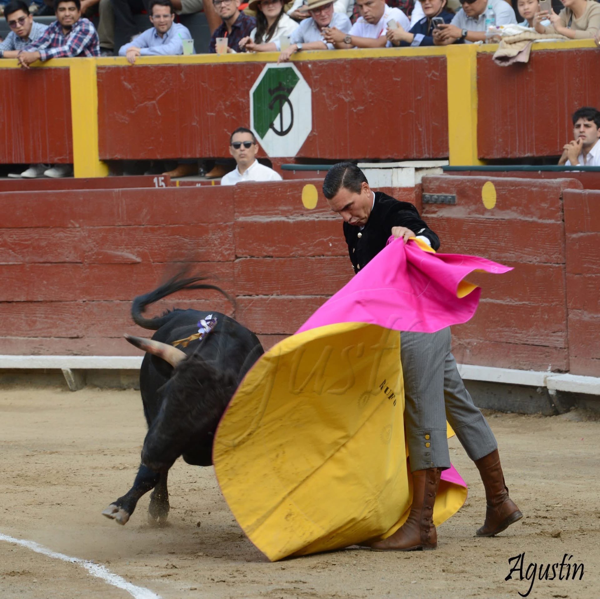 Verónica al capote de rosa y oro