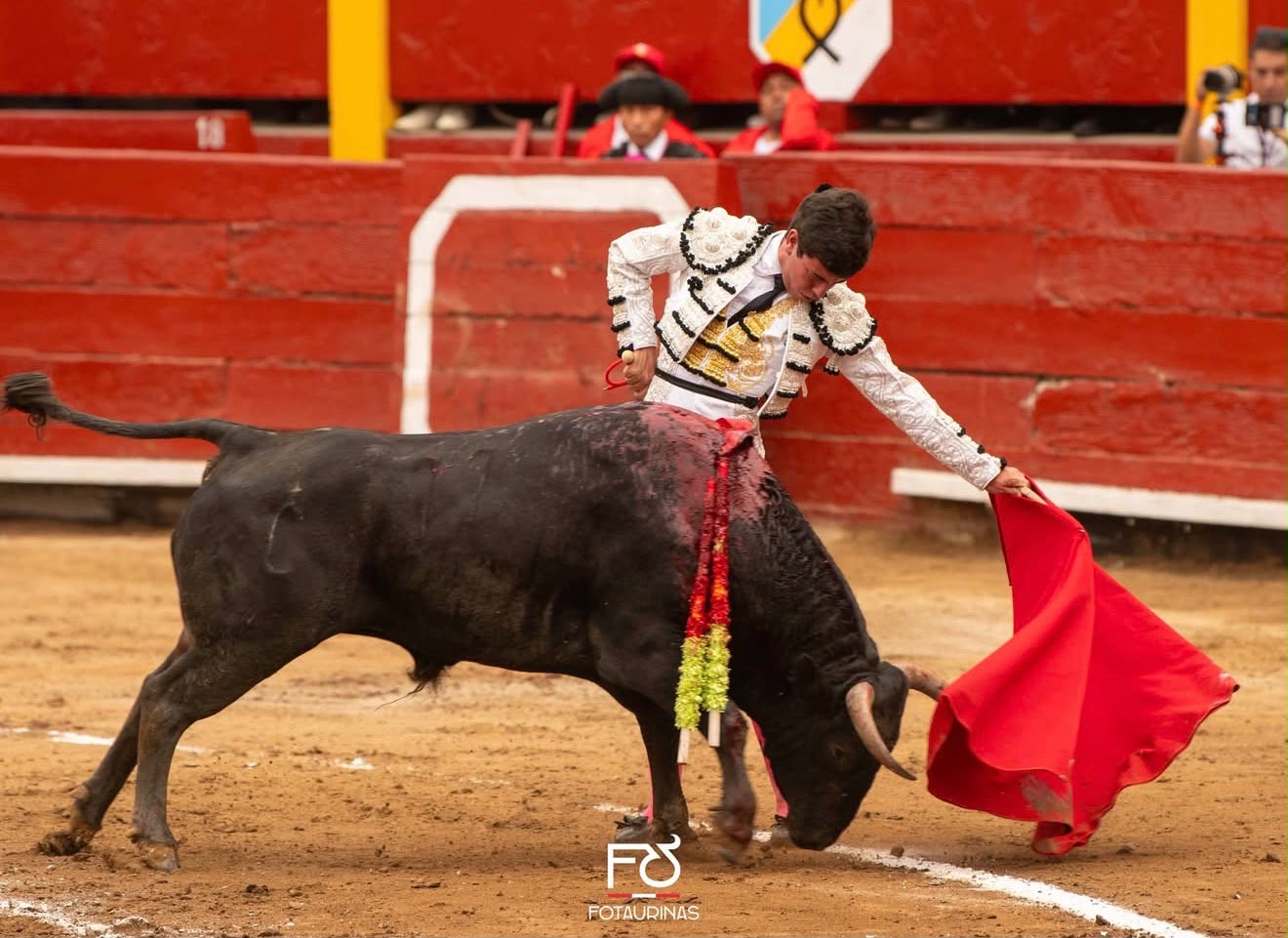 Pase con la muleta al novillo negro en la novillada de Acho